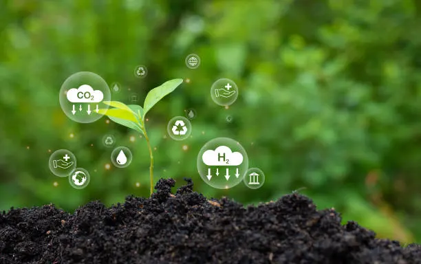 Fertilizer Plants